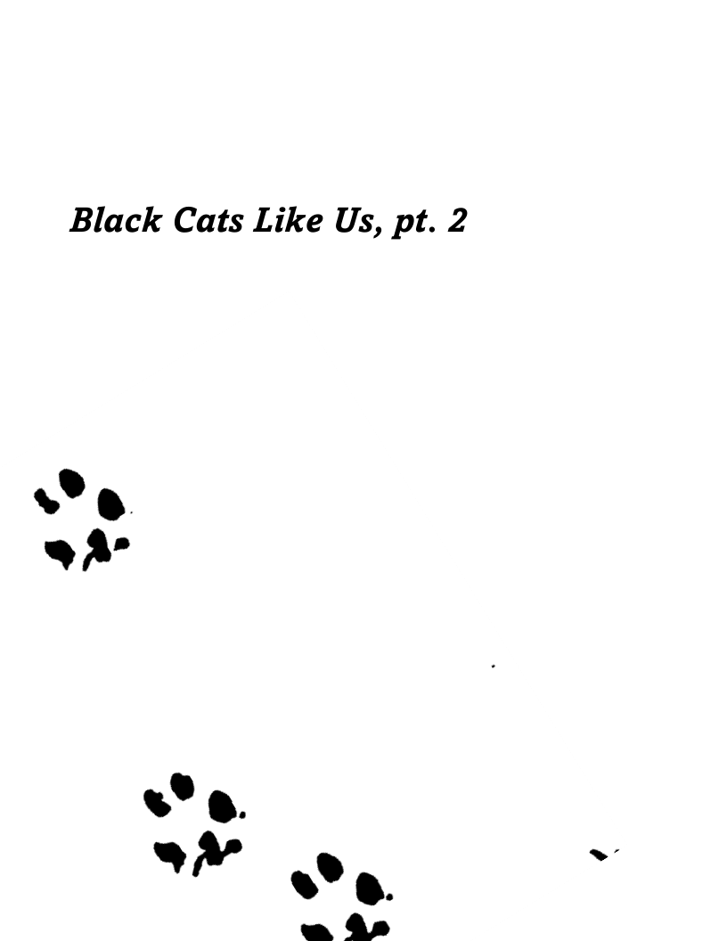 Black Cats Like Us, pt. 2
